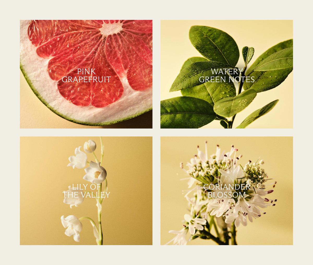 Grapefruit Decorative Reed Diffuser