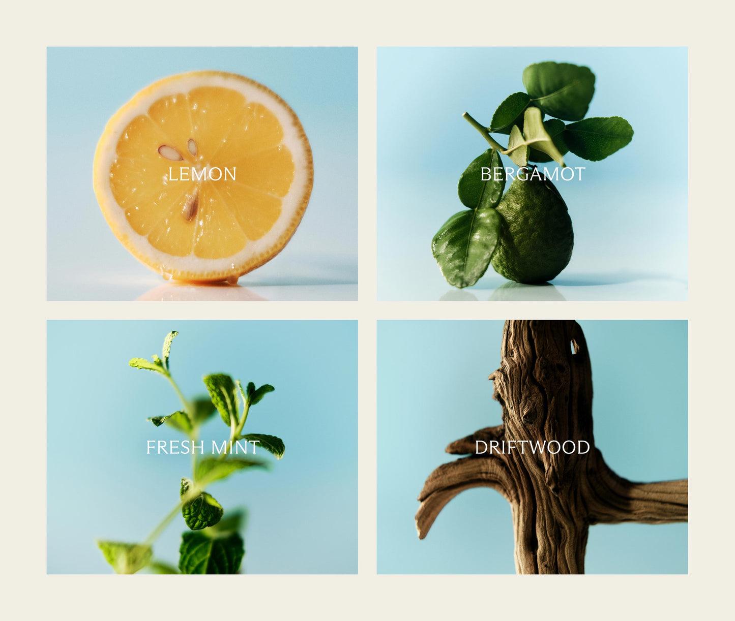 Amalfi Lemon & Mint Reed Diffuser Liquid Refill