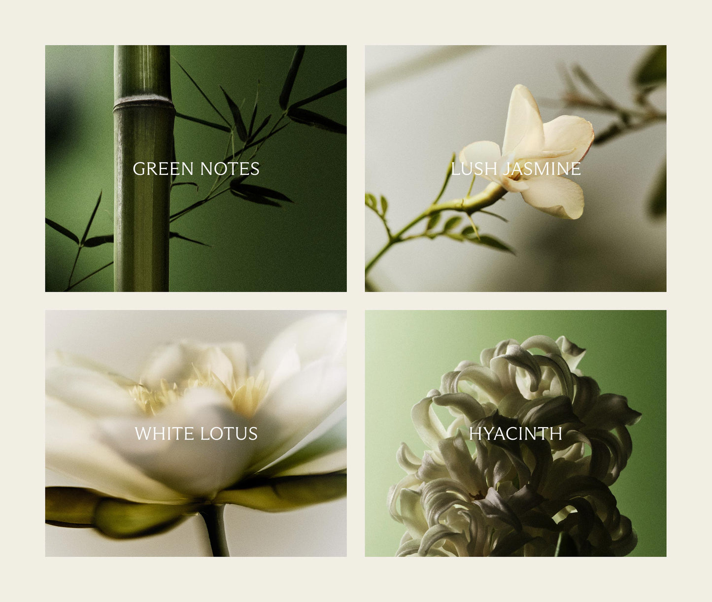 Bamboo Reed Diffuser