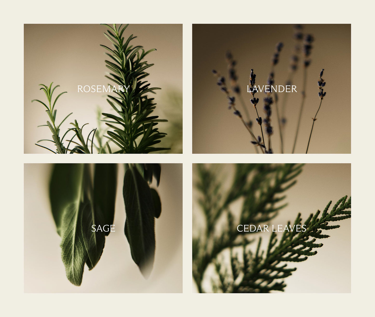 Cedar Leaf & Lavender Reed Diffuser Liquid Refill
