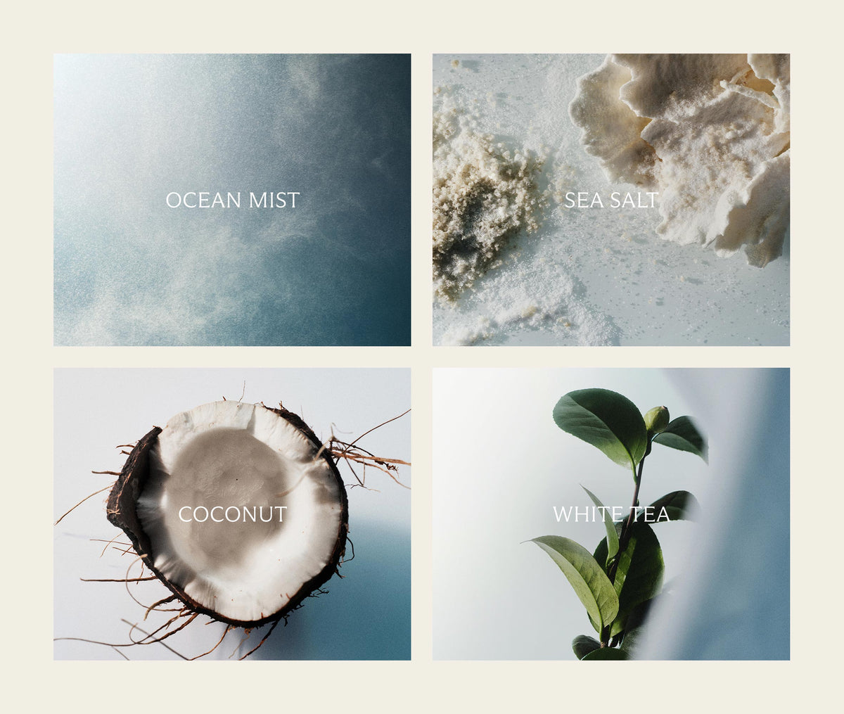 Ocean Mist & Sea Salt Reed Diffuser